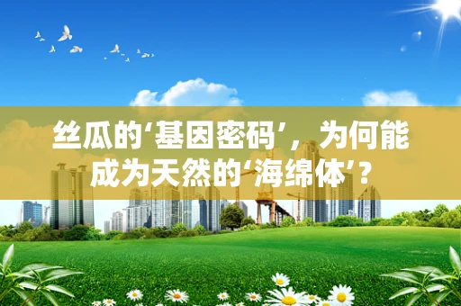 丝瓜的‘基因密码’，为何能成为天然的‘海绵体’？