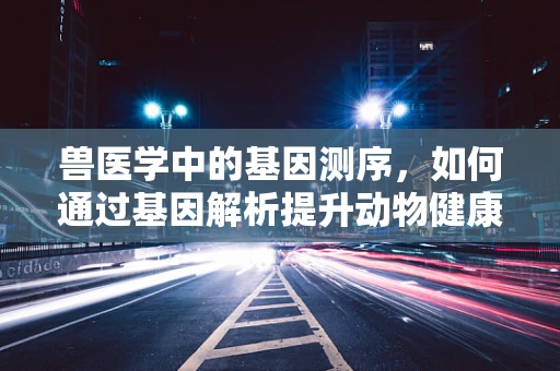 兽医学中的基因测序，如何通过基因解析提升动物健康管理？