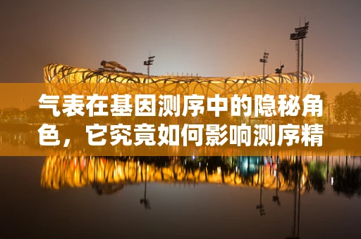 气表在基因测序中的隐秘角色，它究竟如何影响测序精度？