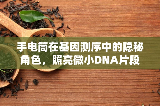 手电筒在基因测序中的隐秘角色，照亮微小DNA片段的秘密？