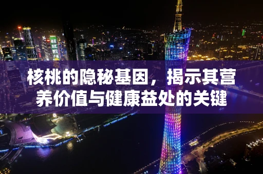 核桃的隐秘基因，揭示其营养价值与健康益处的关键