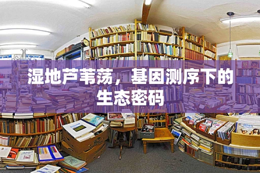 湿地芦苇荡，基因测序下的生态密码