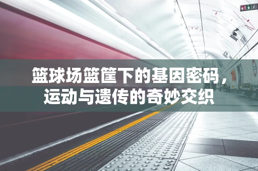 篮球场篮筐下的基因密码，运动与遗传的奇妙交织