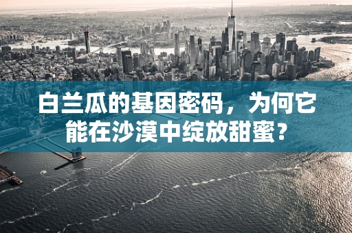 白兰瓜的基因密码，为何它能在沙漠中绽放甜蜜？