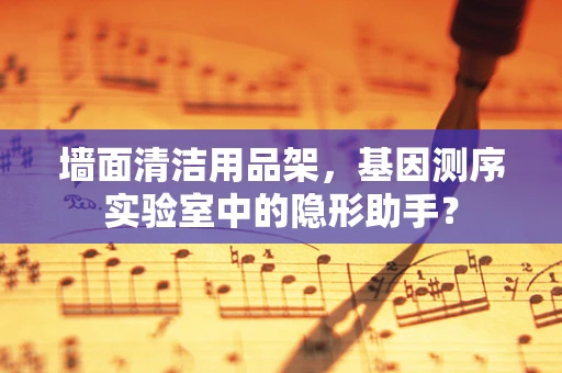 墙面清洁用品架，基因测序实验室中的隐形助手？
