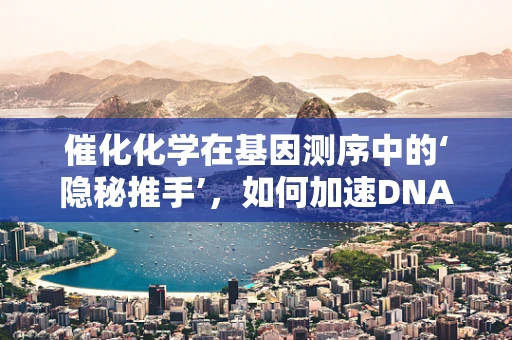 催化化学在基因测序中的‘隐秘推手’，如何加速DNA序列解析？