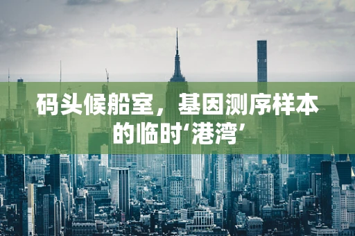 码头候船室，基因测序样本的临时‘港湾’