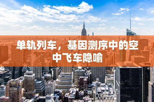 单轨列车，基因测序中的空中飞车隐喻
