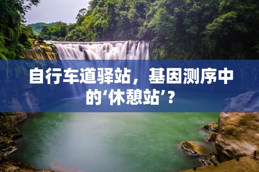 自行车道驿站，基因测序中的‘休憩站’？