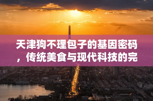 天津狗不理包子的基因密码，传统美食与现代科技的完美邂逅