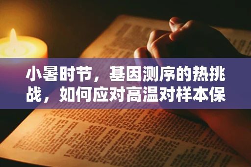 小暑时节，基因测序的热挑战，如何应对高温对样本保存与测序精度的影响？