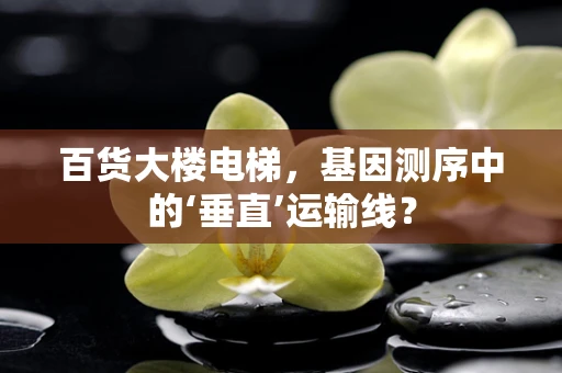 百货大楼电梯，基因测序中的‘垂直’运输线？