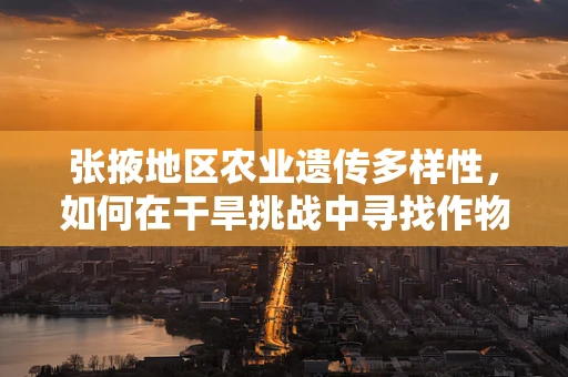 张掖地区农业遗传多样性，如何在干旱挑战中寻找作物改良的基因密码？