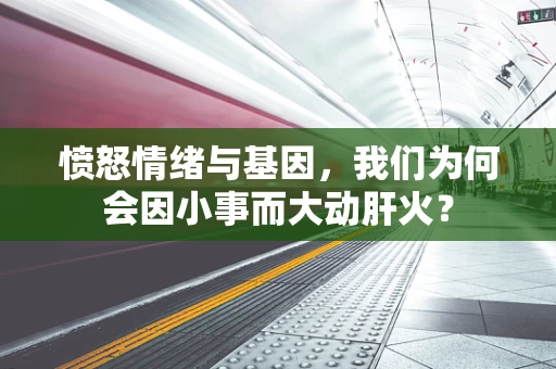 愤怒情绪与基因，我们为何会因小事而大动肝火？