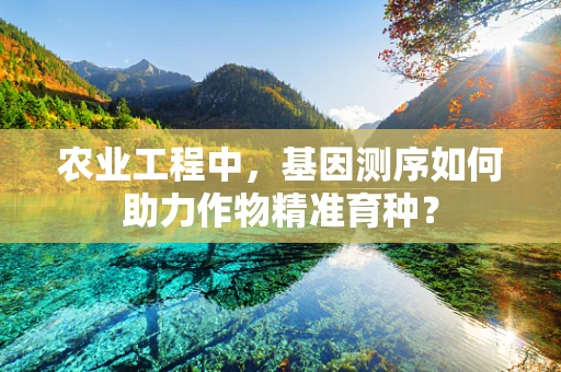 农业工程中，基因测序如何助力作物精准育种？