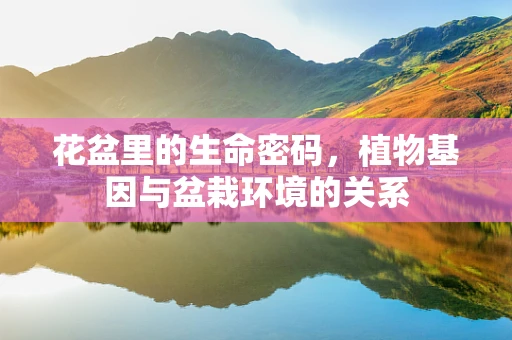 花盆里的生命密码，植物基因与盆栽环境的关系