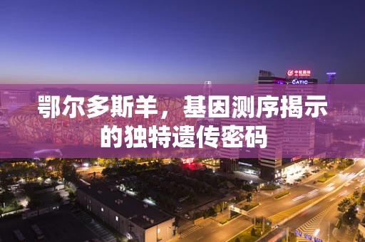 鄂尔多斯羊，基因测序揭示的独特遗传密码
