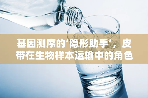 基因测序的‘隐形助手’，皮带在生物样本运输中的角色之谜