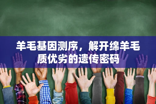 羊毛基因测序，解开绵羊毛质优劣的遗传密码