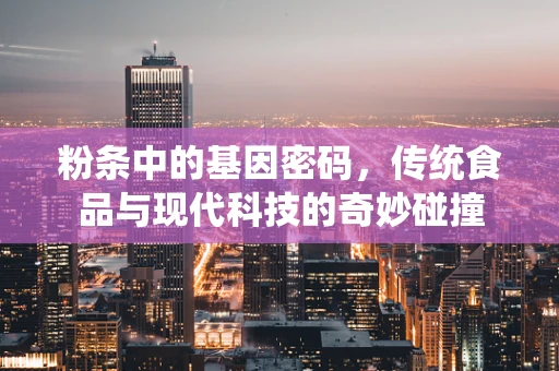 粉条中的基因密码，传统食品与现代科技的奇妙碰撞