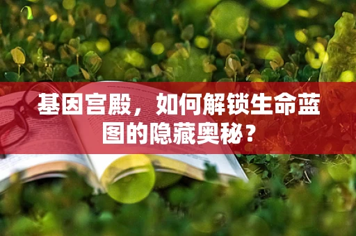 基因宫殿，如何解锁生命蓝图的隐藏奥秘？
