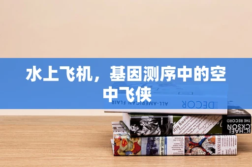 水上飞机，基因测序中的空中飞侠
