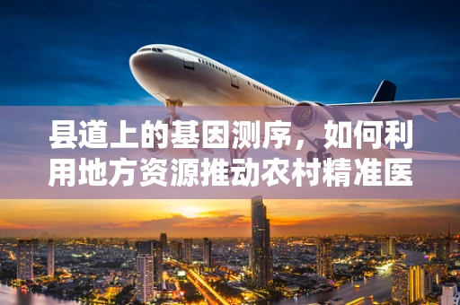 县道上的基因测序，如何利用地方资源推动农村精准医疗发展？