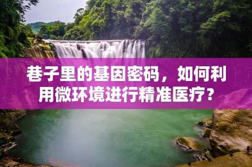 巷子里的基因密码，如何利用微环境进行精准医疗？