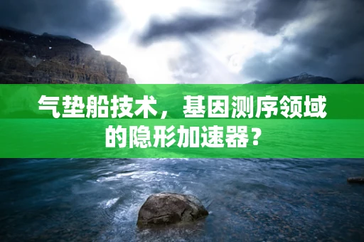气垫船技术，基因测序领域的隐形加速器？