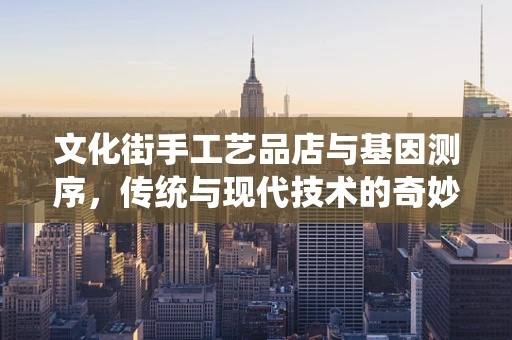 文化街手工艺品店与基因测序，传统与现代技术的奇妙碰撞