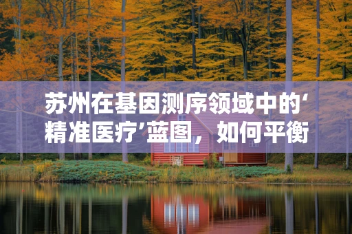 苏州在基因测序领域中的‘精准医疗’蓝图，如何平衡技术创新与数据安全？