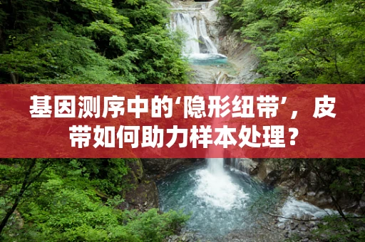 基因测序中的‘隐形纽带’，皮带如何助力样本处理？