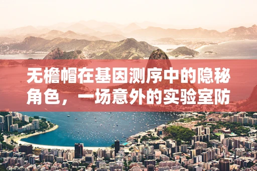 无檐帽在基因测序中的隐秘角色，一场意外的实验室防护革新？
