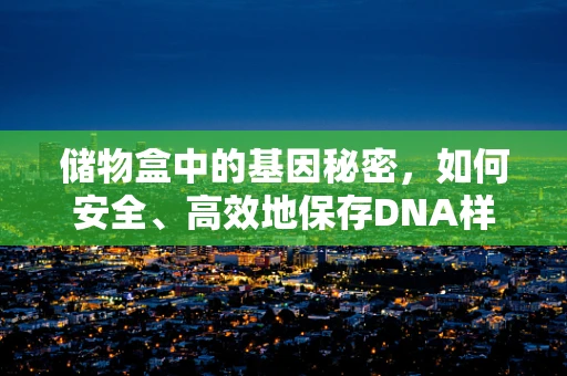 储物盒中的基因秘密，如何安全、高效地保存DNA样本？