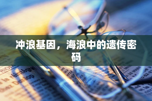 冲浪基因，海浪中的遗传密码