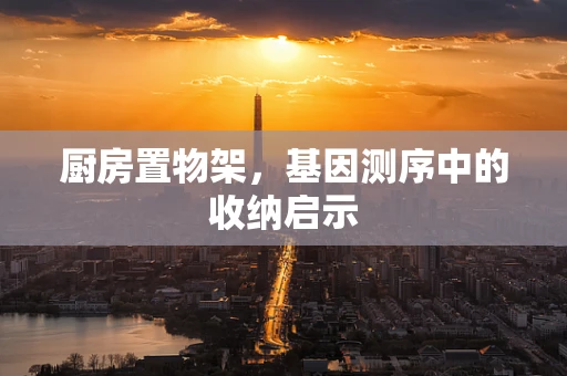 厨房置物架，基因测序中的收纳启示