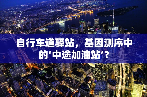 自行车道驿站，基因测序中的‘中途加油站’？