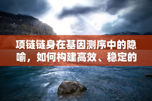 项链链身在基因测序中的隐喻，如何构建高效、稳定的测序数据‘链’？
