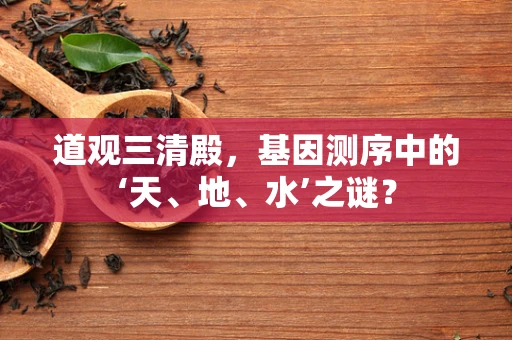 道观三清殿，基因测序中的‘天、地、水’之谜？