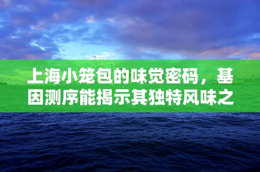 上海小笼包的味觉密码，基因测序能揭示其独特风味之谜吗？