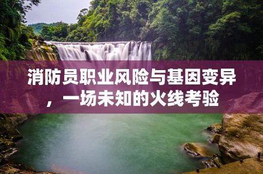 消防员职业风险与基因变异，一场未知的火线考验