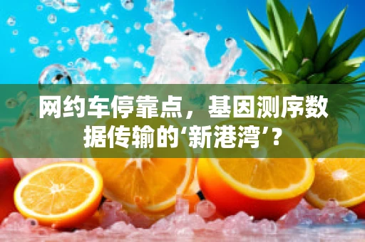 网约车停靠点，基因测序数据传输的‘新港湾’？
