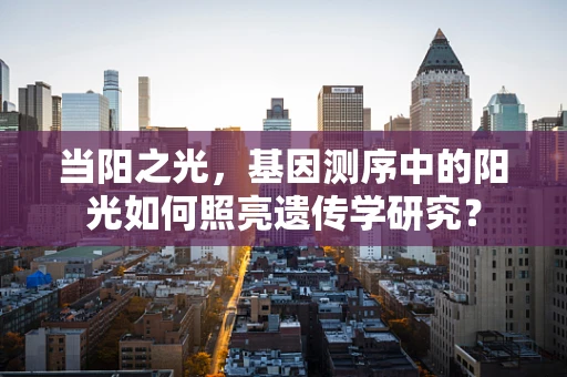 当阳之光，基因测序中的阳光如何照亮遗传学研究？