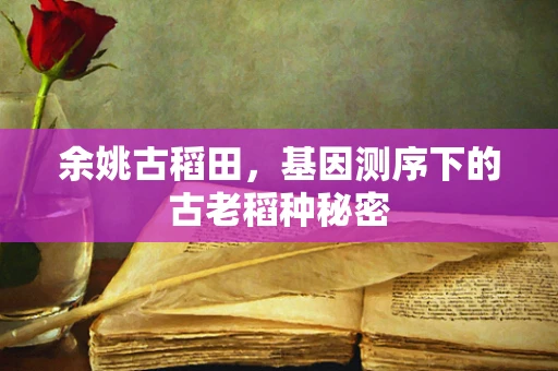 余姚古稻田，基因测序下的古老稻种秘密
