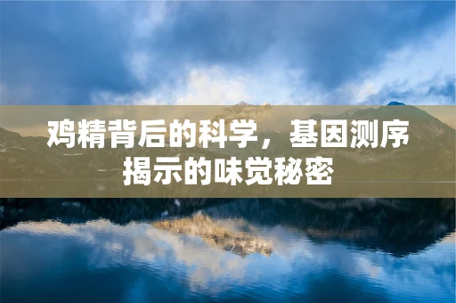 鸡精背后的科学，基因测序揭示的味觉秘密