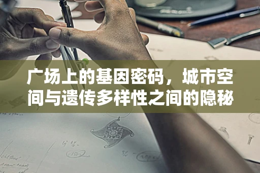 广场上的基因密码，城市空间与遗传多样性之间的隐秘联系？