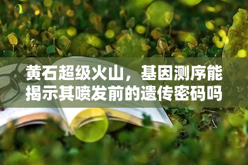 黄石超级火山，基因测序能揭示其喷发前的遗传密码吗？