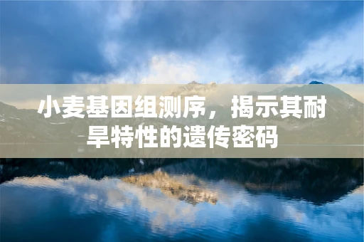 小麦基因组测序，揭示其耐旱特性的遗传密码