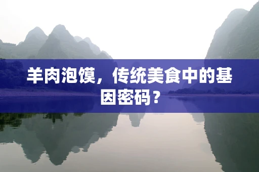 羊肉泡馍，传统美食中的基因密码？