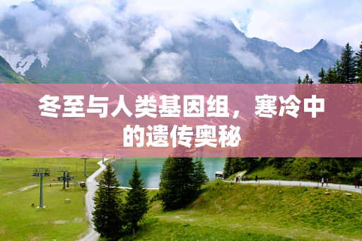 冬至与人类基因组，寒冷中的遗传奥秘